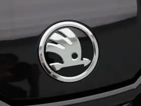 Skoda Kodiaq 1.5 TSi 150 Pk Sportline Business thumbnail 11