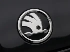 Skoda Fabia 1.0 TSi 116 Pk Automaat Monte Carlo thumbnail 11