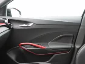 Skoda Fabia 1.0 TSi 116 Pk Automaat Monte Carlo thumbnail 30