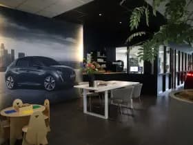 Peugeot 2008 thumbnail 48