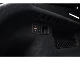 Audi RS Q8 thumbnail 20