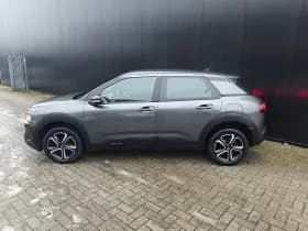 Citroën C4 Cactus thumbnail 2