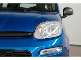 Fiat Panda thumbnail 2