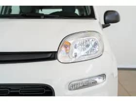 Fiat Panda thumbnail 2