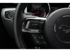 Ford Mustang thumbnail 13