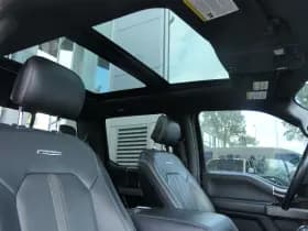 Ford F-150 thumbnail 14