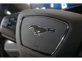 Ford Mustang Mach-E thumbnail 19