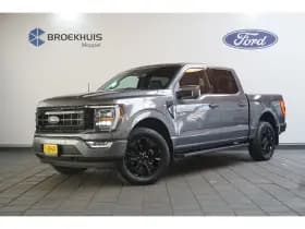 Ford F-150 thumbnail 1
