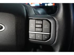 Ford F-150 thumbnail 20