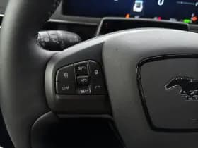 Ford Mustang Mach-E thumbnail 15