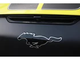Ford Mustang Mach-E thumbnail 11