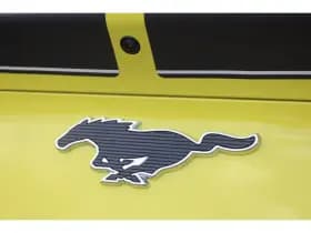 Ford Mustang Mach-E thumbnail 12