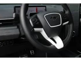 Ford Mustang Mach-E thumbnail 27