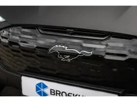 Ford Mustang Mach-E thumbnail 44