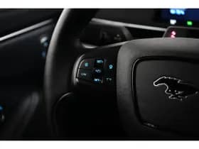 Ford Mustang Mach-E thumbnail 12
