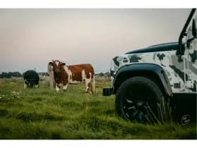 Land Rover Defender thumbnail 41