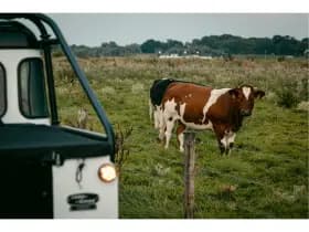 Land Rover Defender thumbnail 44