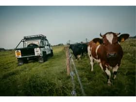 Land Rover Defender thumbnail 55