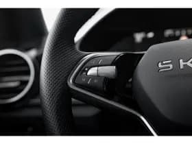 Škoda Fabia thumbnail 16