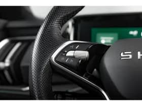 Škoda Kodiaq thumbnail 17