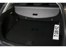 Renault Mégane thumbnail 19