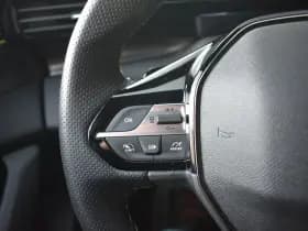 Peugeot 308 thumbnail 17