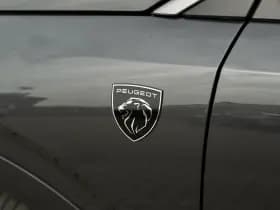 Peugeot 3008 thumbnail 39