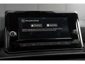 SEAT Ibiza thumbnail 25