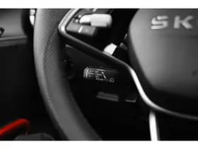 Škoda Fabia thumbnail 20