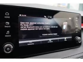 Škoda Fabia thumbnail 20