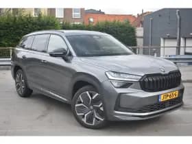 Škoda Kodiaq thumbnail 2