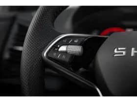 Škoda Karoq thumbnail 18