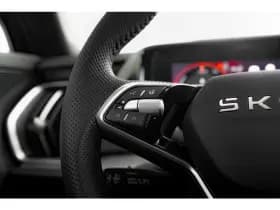 Škoda Kodiaq thumbnail 20