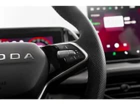 Škoda Kodiaq thumbnail 21