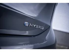 Volkswagen Tiguan thumbnail 19