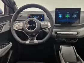 BYD Dolphin thumbnail 14