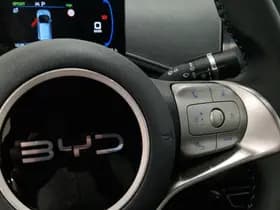 BYD Dolphin thumbnail 19
