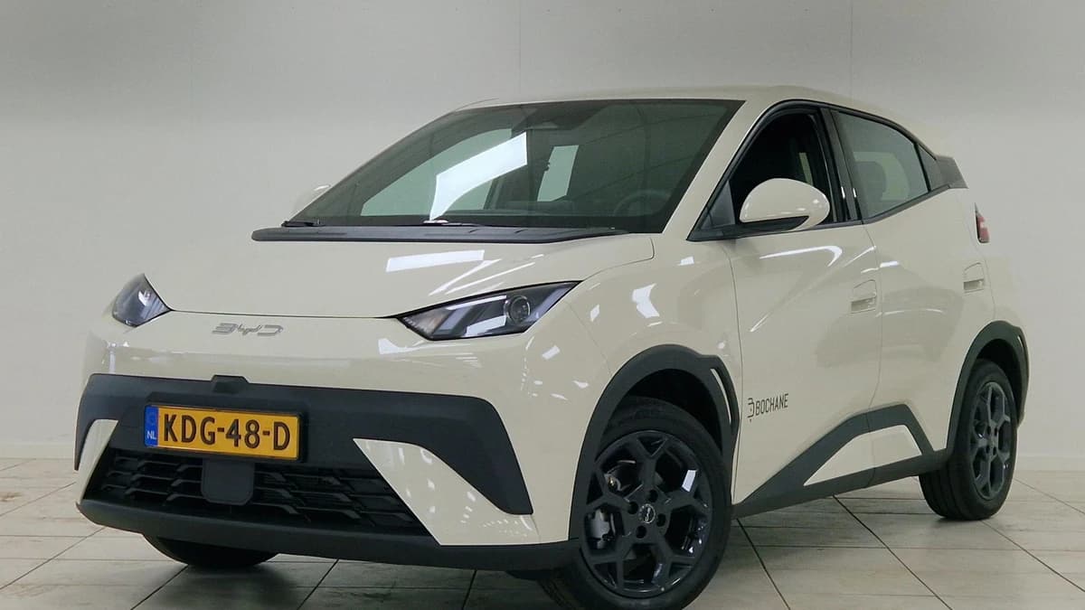 BYD Dolphin — foto 1