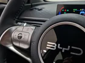 BYD Dolphin thumbnail 24