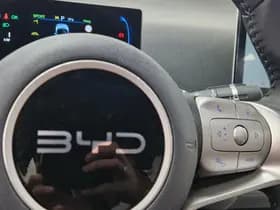 BYD Dolphin thumbnail 25