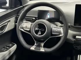BYD Dolphin thumbnail 18
