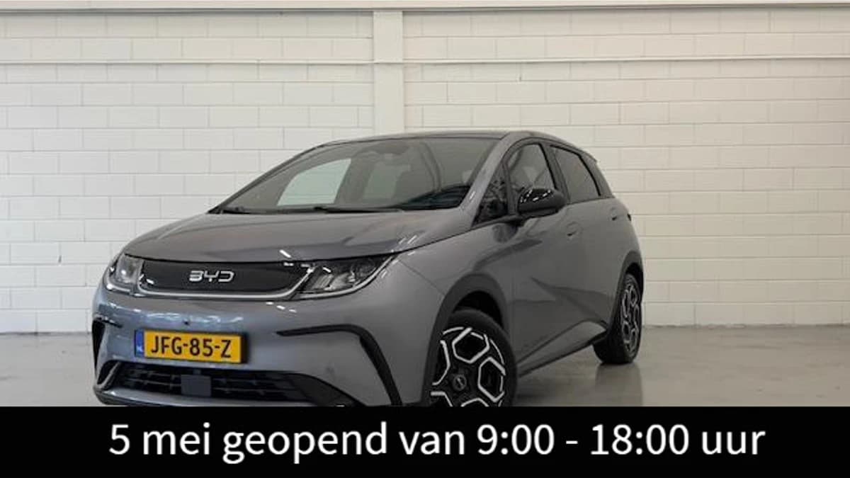 BYD Dolphin — foto 1