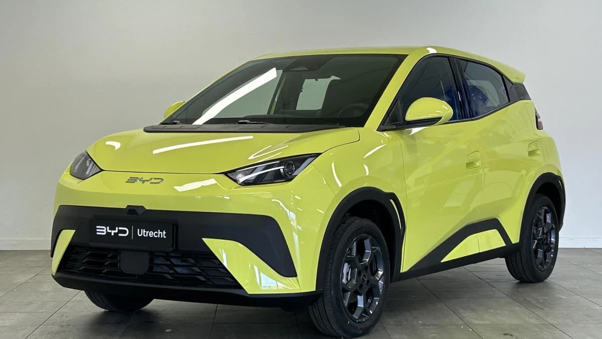BYD Dolphin — foto 1