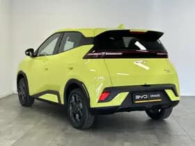 BYD Dolphin thumbnail 6