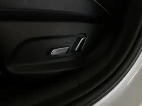 BYD Dolphin thumbnail 13