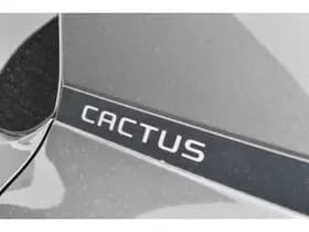 Citroën C4 Cactus PureTech EAT6 Shine Automaat thumbnail 18