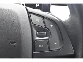 Citroën C4 Cactus PureTech EAT6 Shine Automaat thumbnail 23