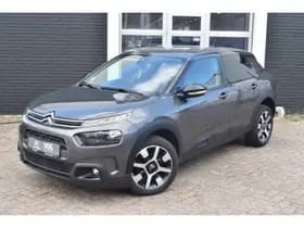 Citroën C4 Cactus PureTech EAT6 Shine Automaat thumbnail 25