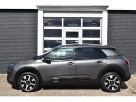 Citroën C4 Cactus PureTech EAT6 Shine Automaat thumbnail 6