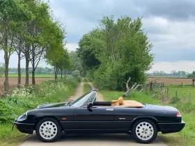 Alfa Romeo Spider thumbnail 2